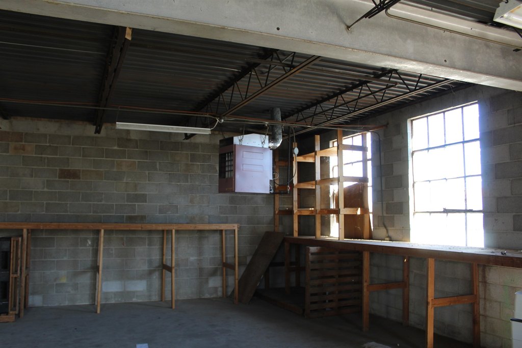 Picture 7