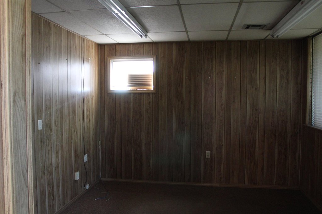 Picture 19