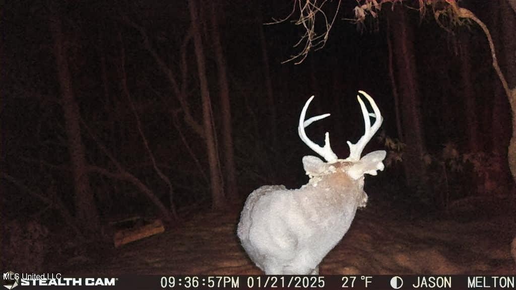 Picture 5
