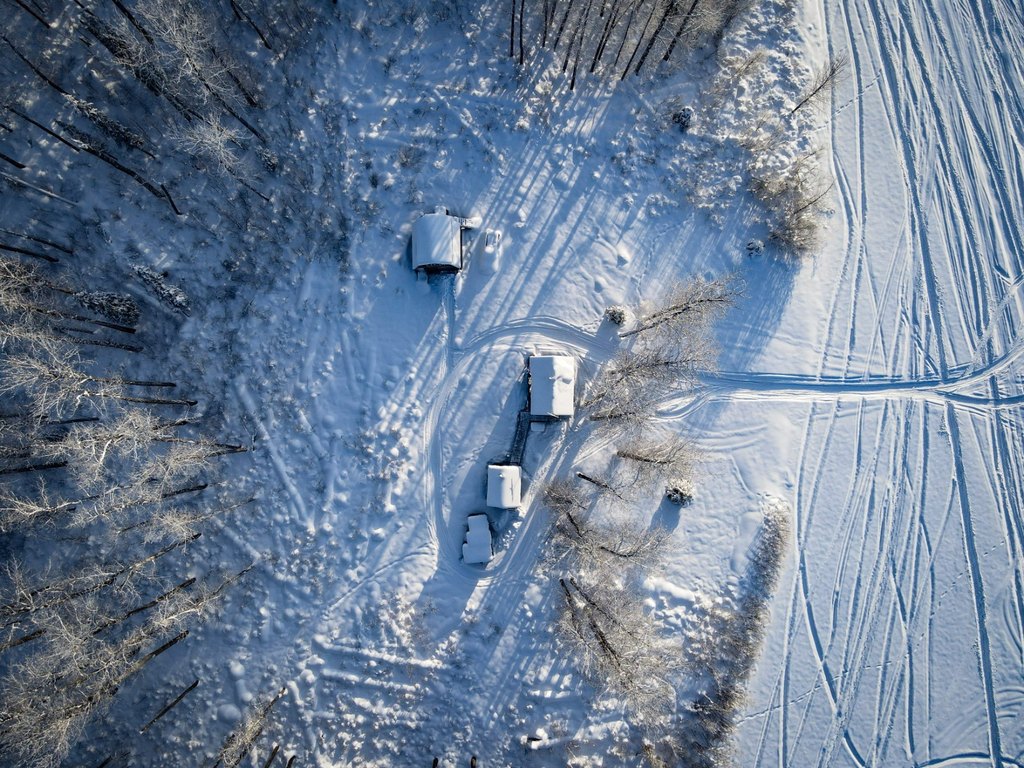 Picture 50