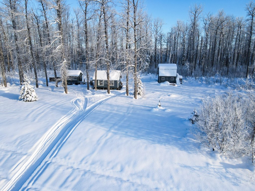 Picture 46