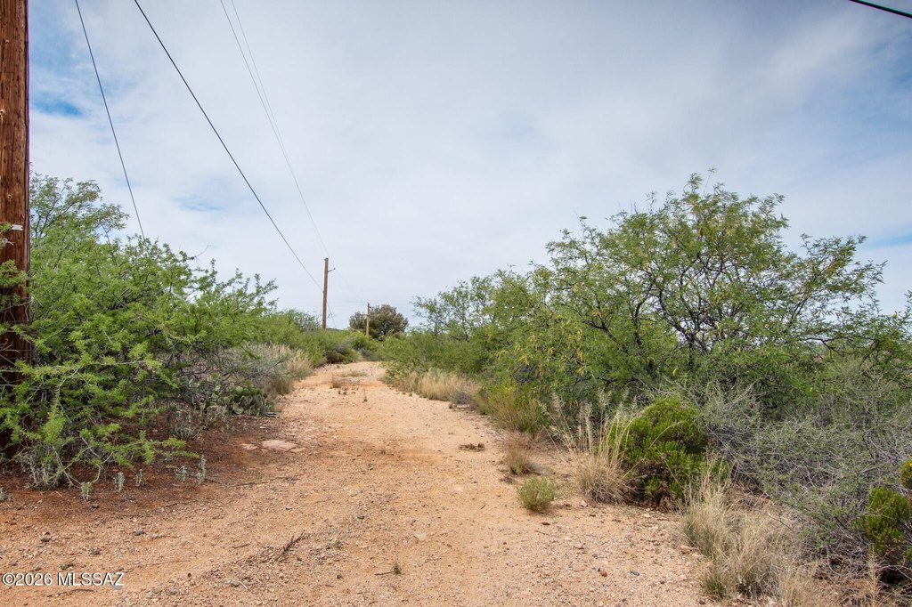 Picture 25