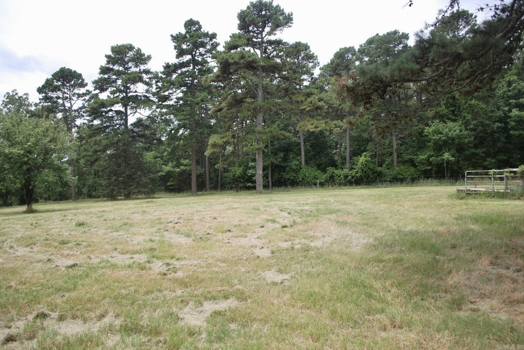 Picture 11