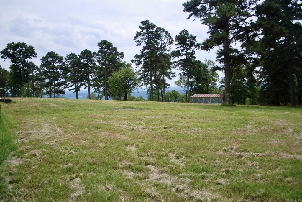 Picture 9