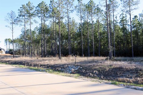 Residential Lot Near Sam Rayburn