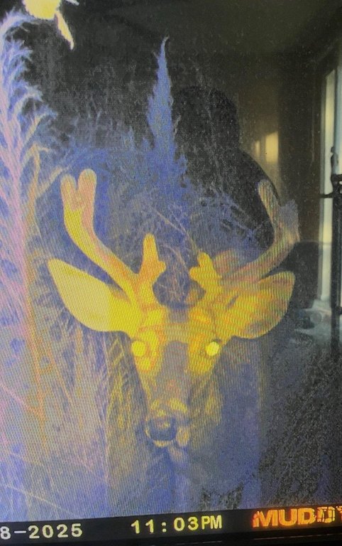 Picture 6