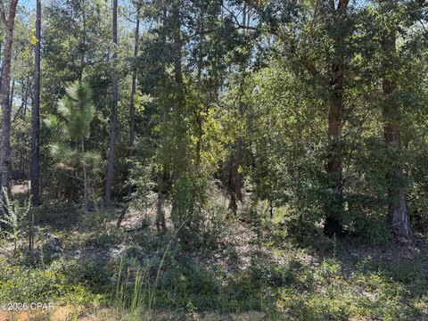 Land, Alford, FL