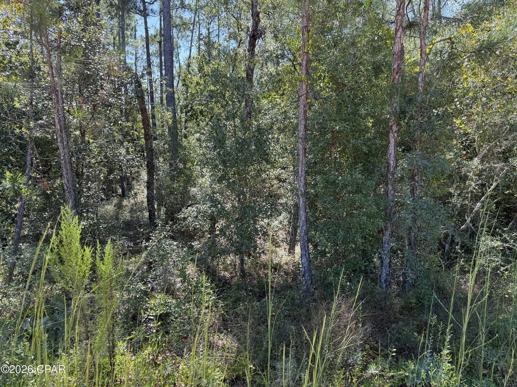 Picture 3