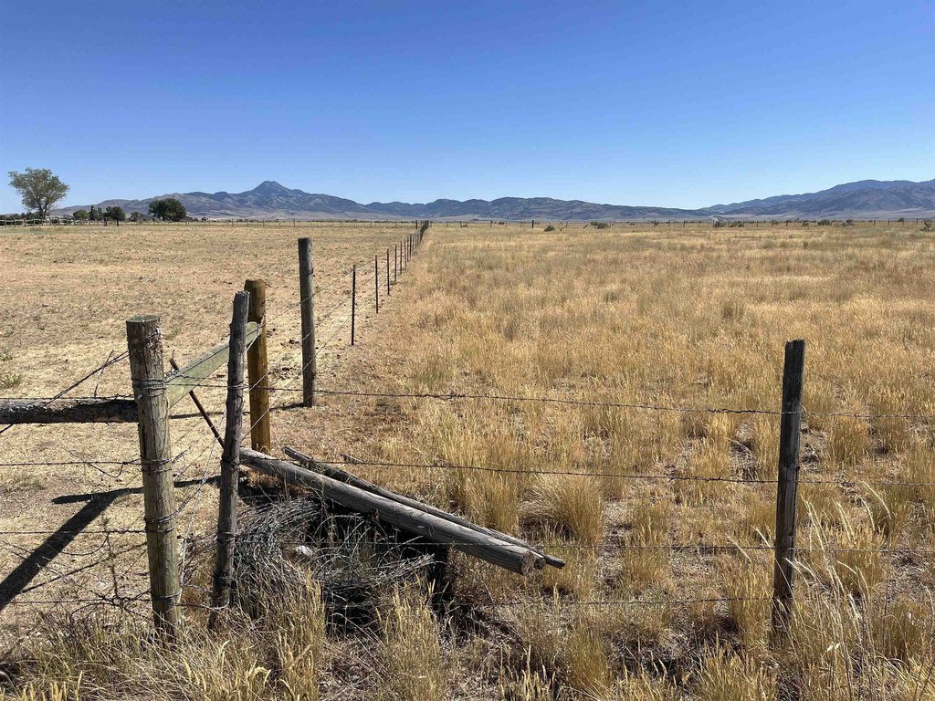 Picture 26