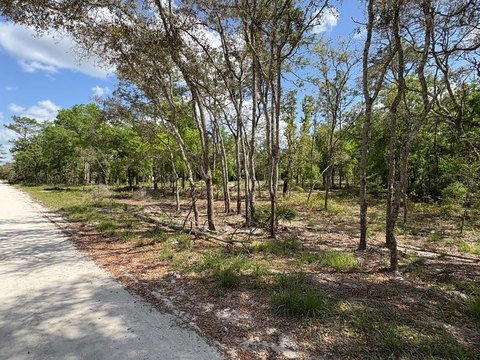 Land Near Suwannee River