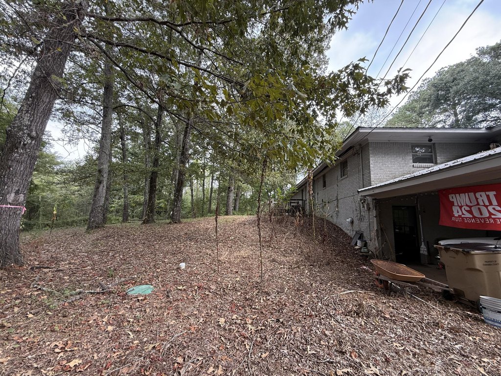 Picture 3