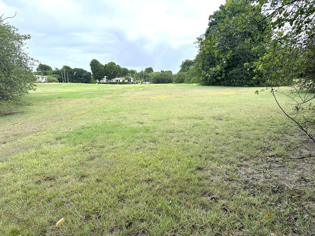 Picture 4
