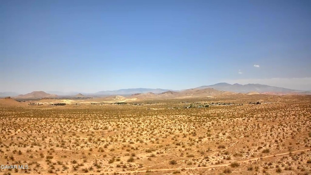 Picture 7