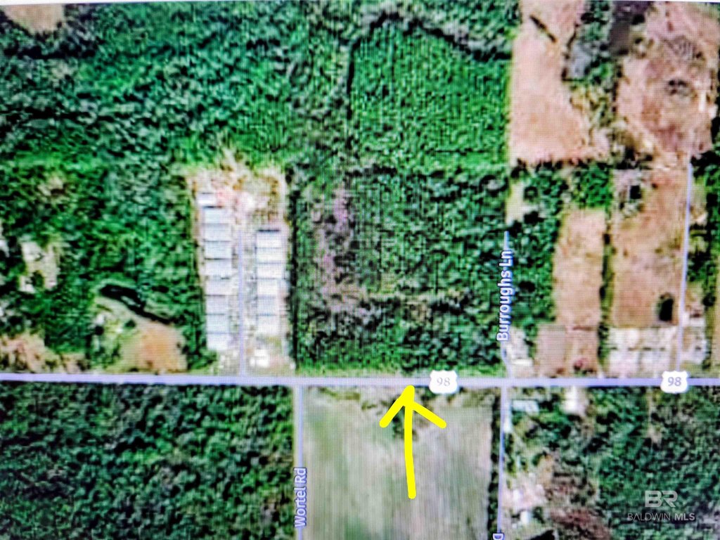Picture 11
