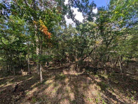 Lots & Acreage, Oxford, WI
