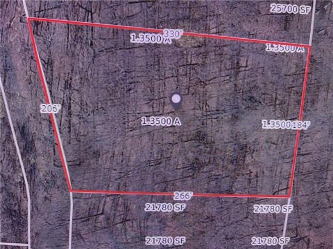 Wooded Lot in Gated Community