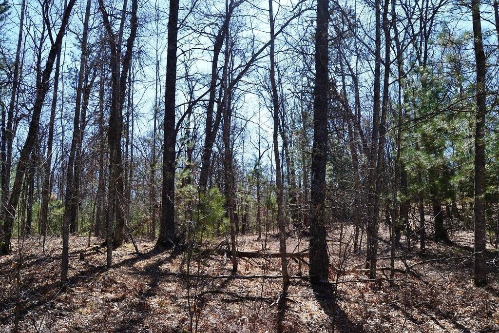 Picture 3