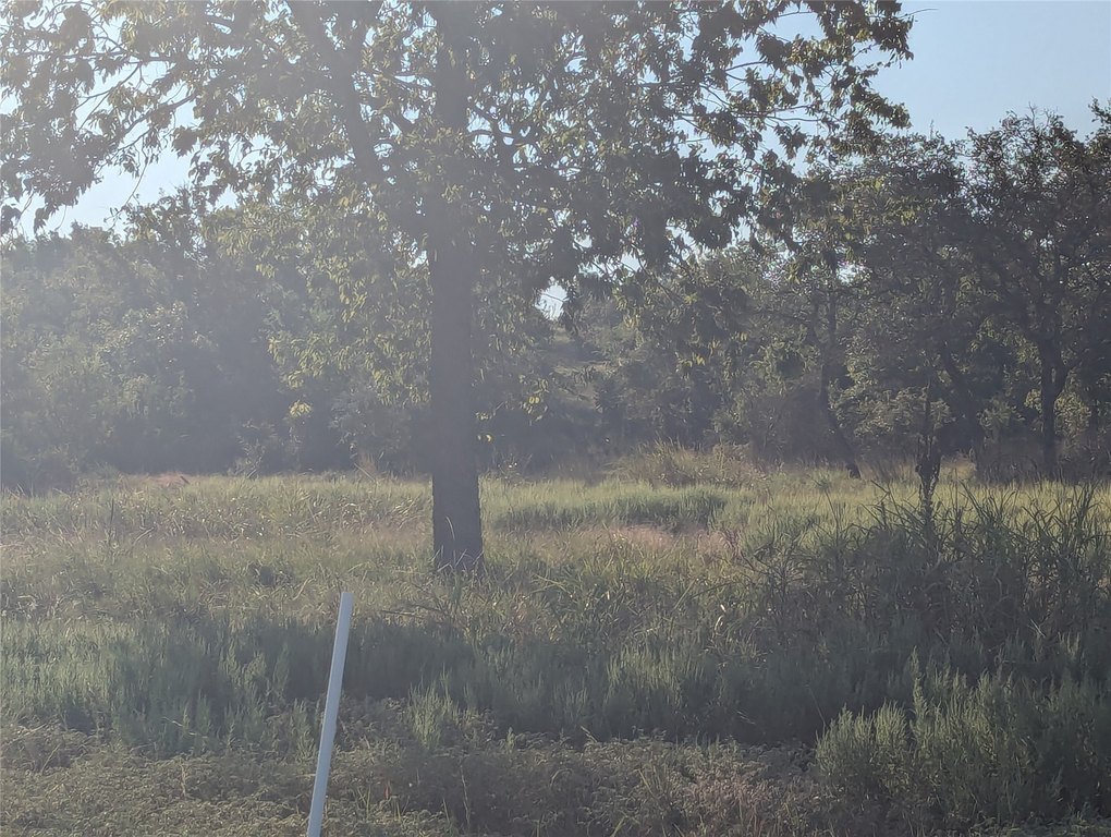 Picture 17