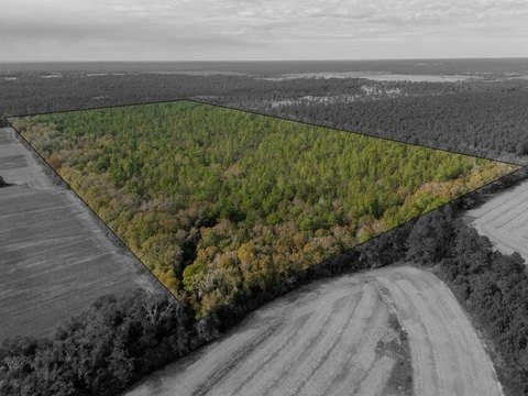 Agricultural Land