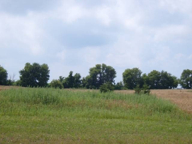 Picture 7