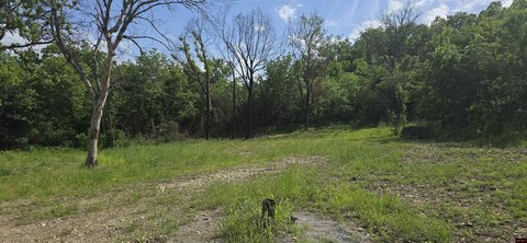Flippin, AR Wooded Land