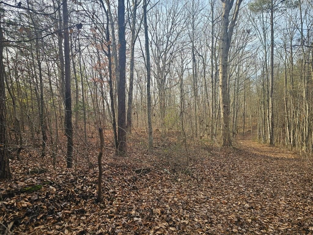Picture 11