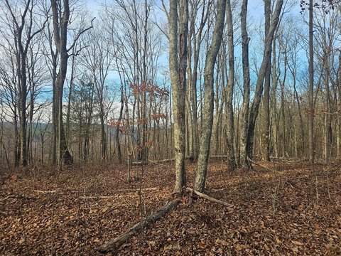 Wooded Hunting and Development Land