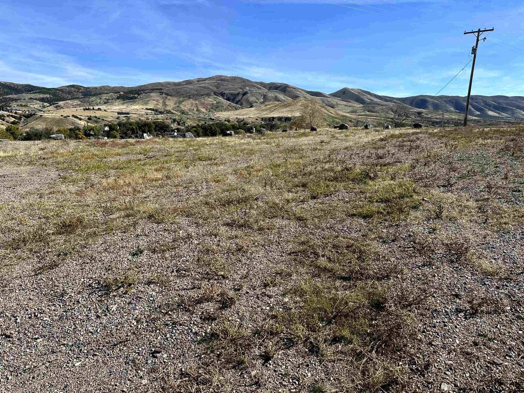 Picture 6