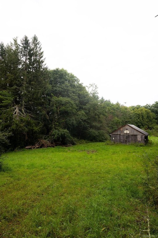 Picture 22