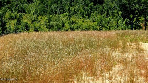 Grenada Lake Area Land