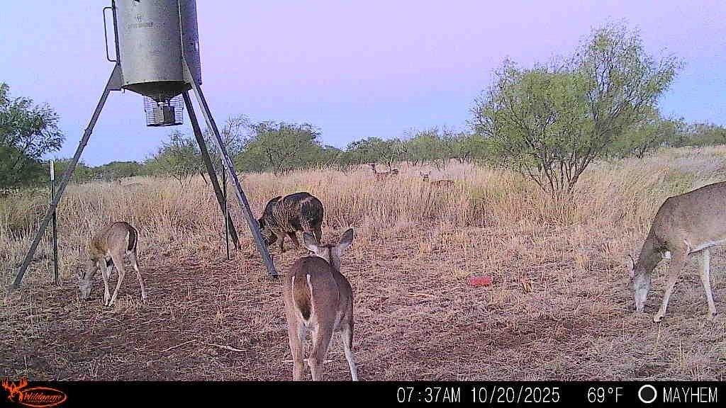 Picture 5