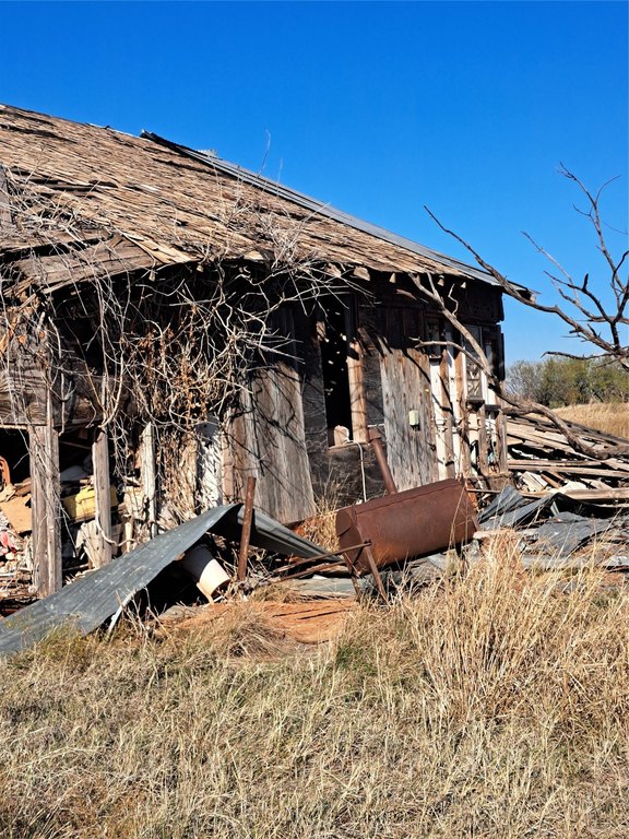 Picture 39