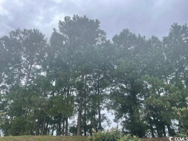Land For Sale in Longs