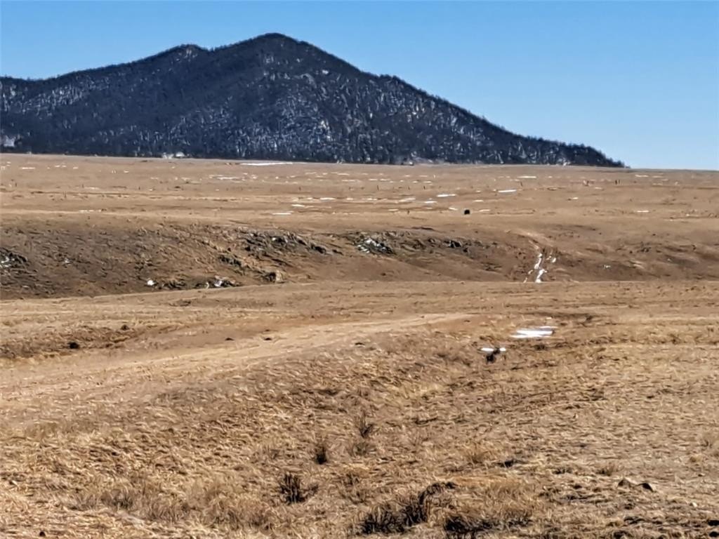 22+ Acres of Rolling Grassland