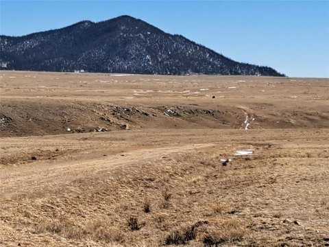 22+ Acres of Rolling Grassland