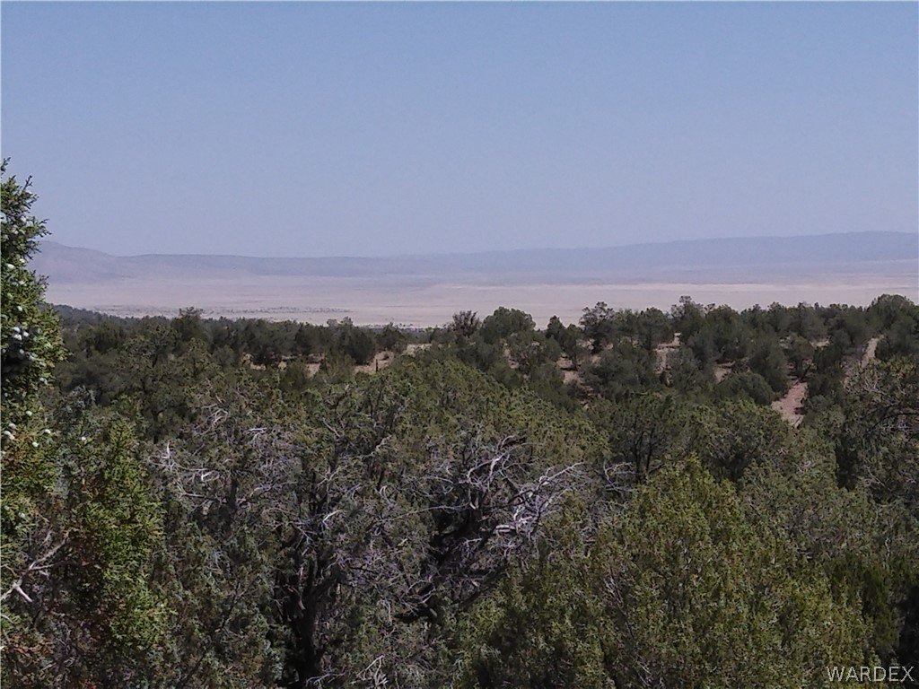 40 Acres in Antelope Valley