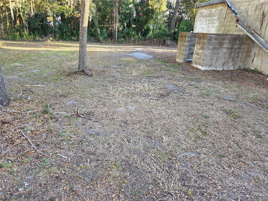 Picture 12