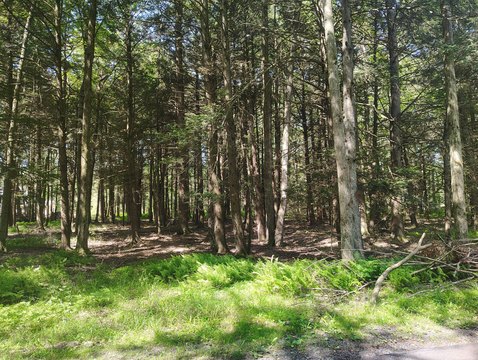 Pocono Lake Build-Ready Land