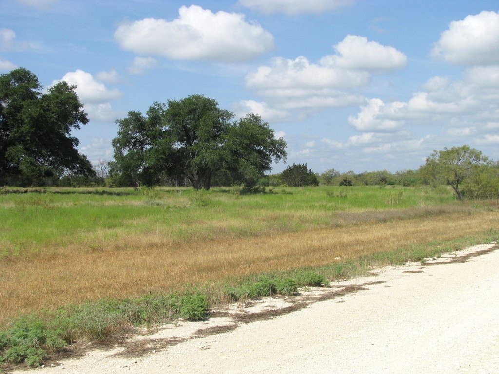 Picture 21