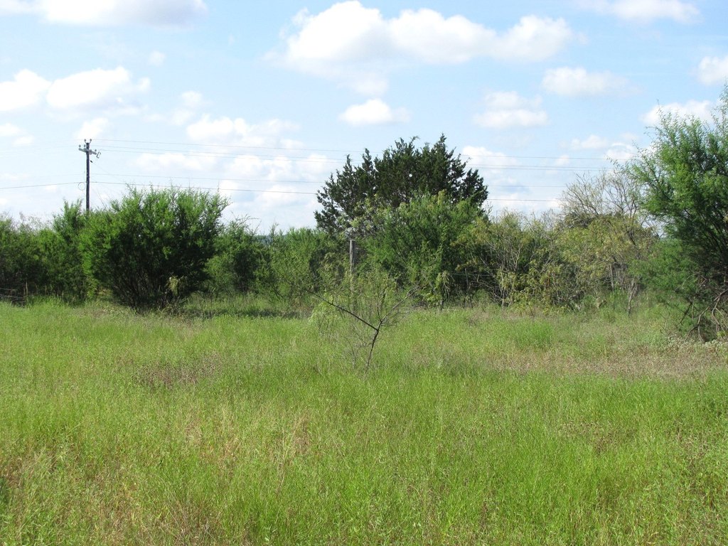 Picture 16