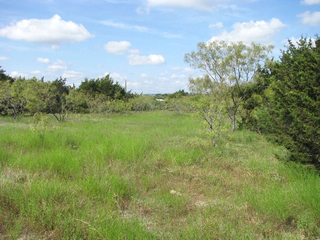Picture 12