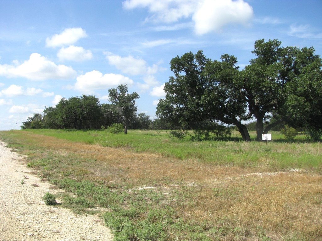 Picture 20