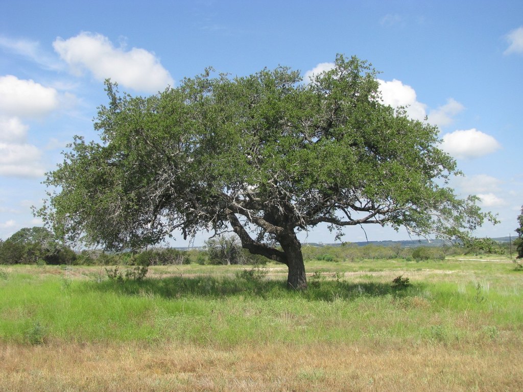 Picture 6