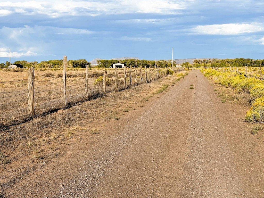Picture 28