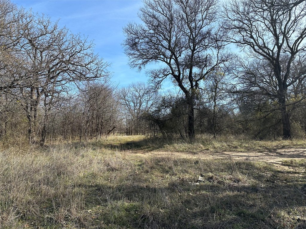 Picture 21