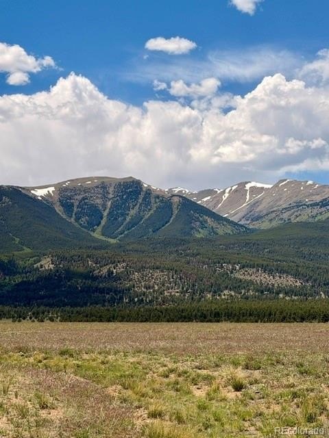 Picture 10
