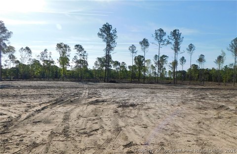 Cleared Homesite in Fairmont, NC