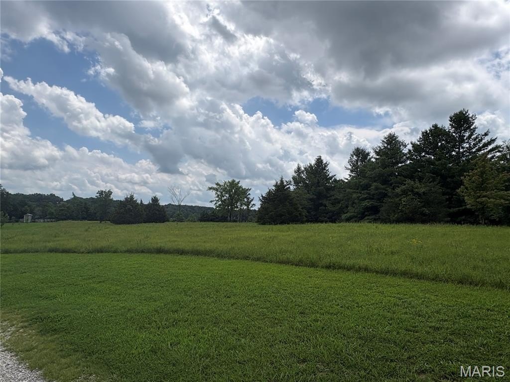 Picture 2
