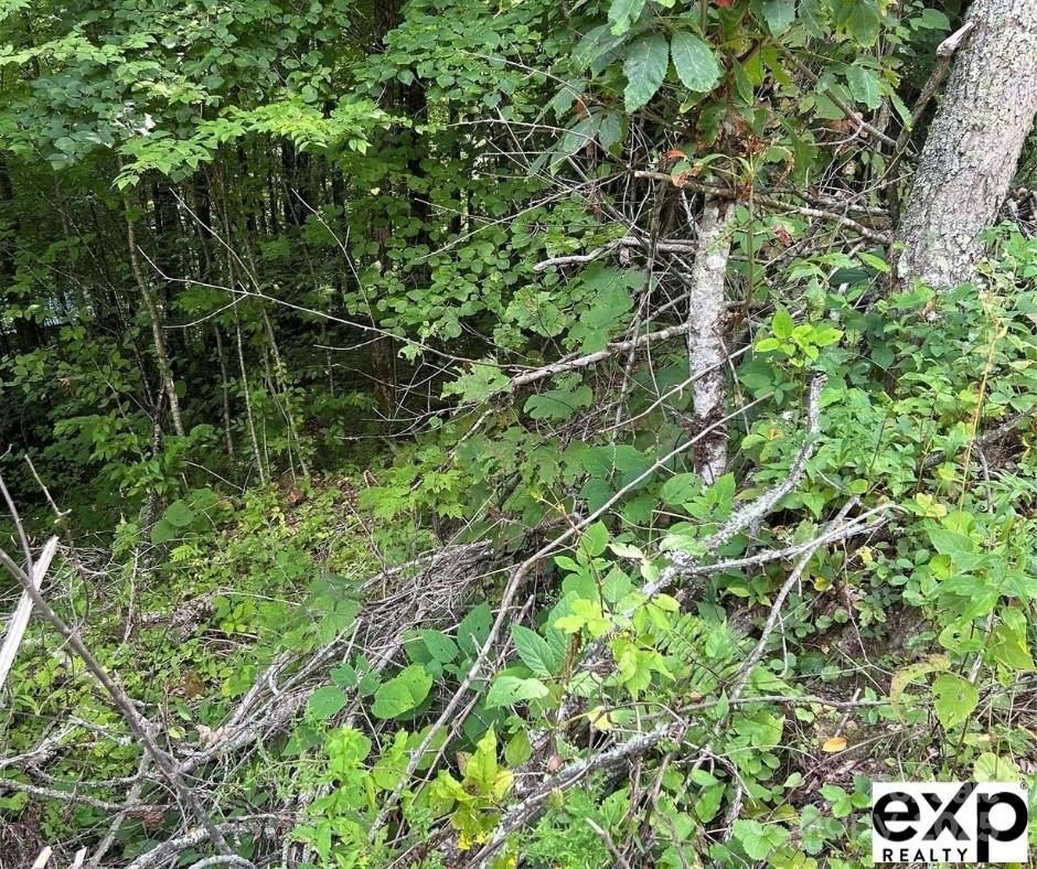 Maggie Valley Mountain View Lot