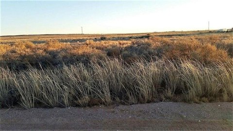 Land, Edgewood, NM